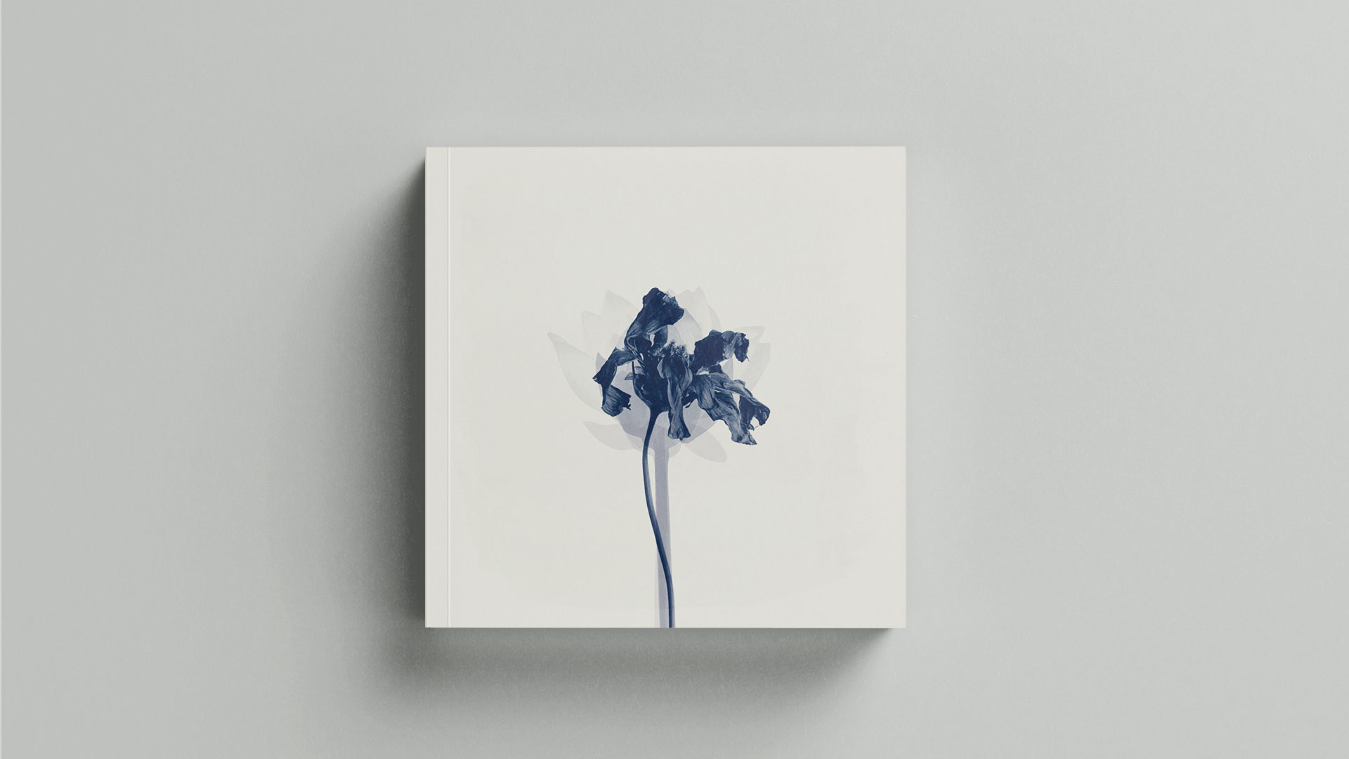 Back cover — the wilted flower closes the loop.