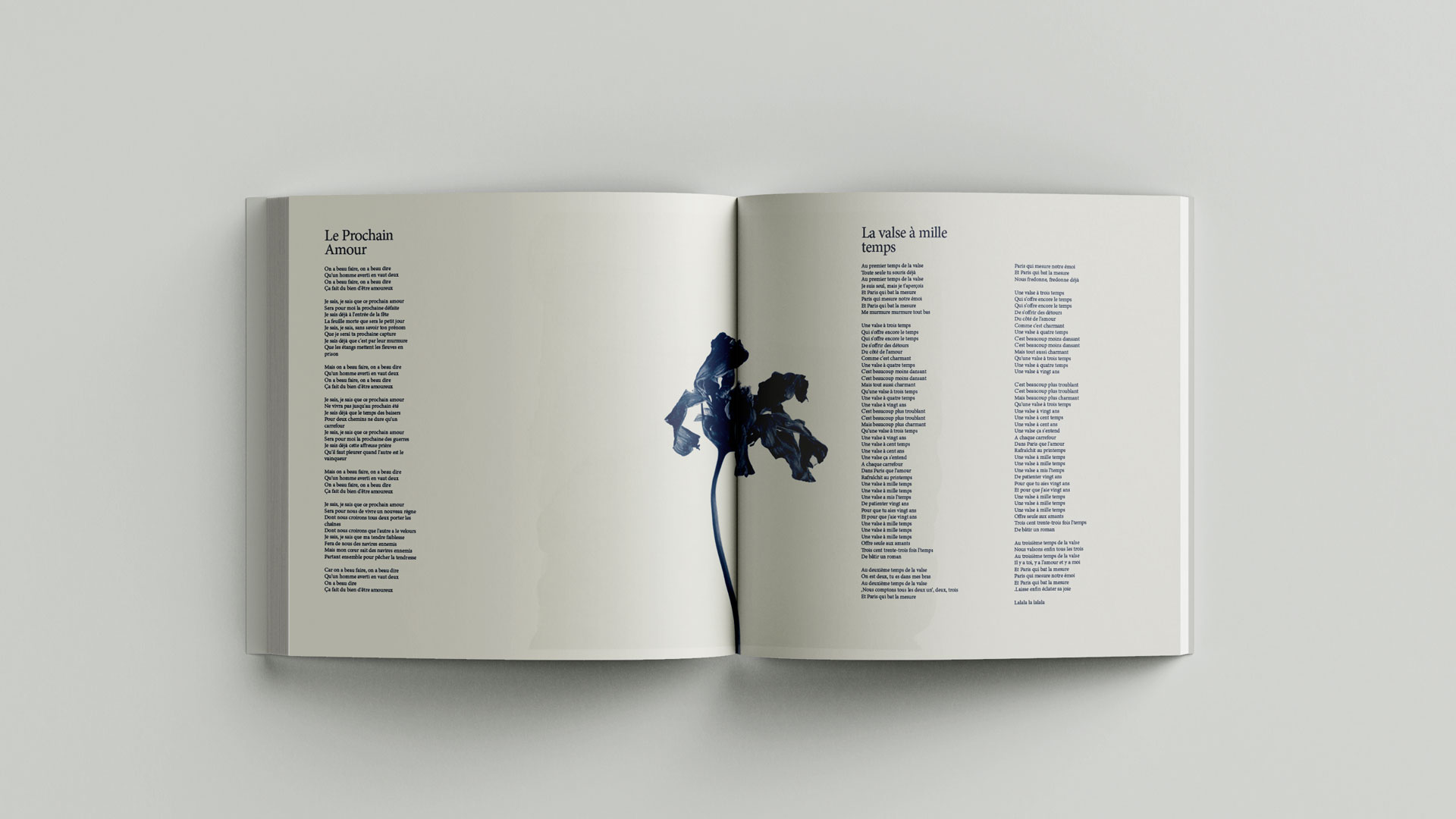 Le Prochain Amour — the bloom collapses; type stays exactly where it was.